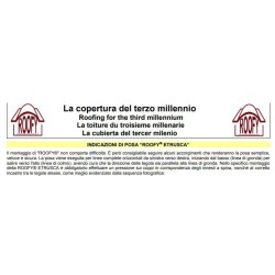 Tegola /coppo Etrusca Rofly colore terracotta conf. 17 pz mq 1,95